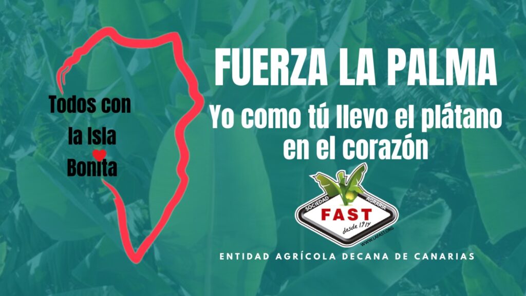 Fuerza La Palma Fuerza La Palma
