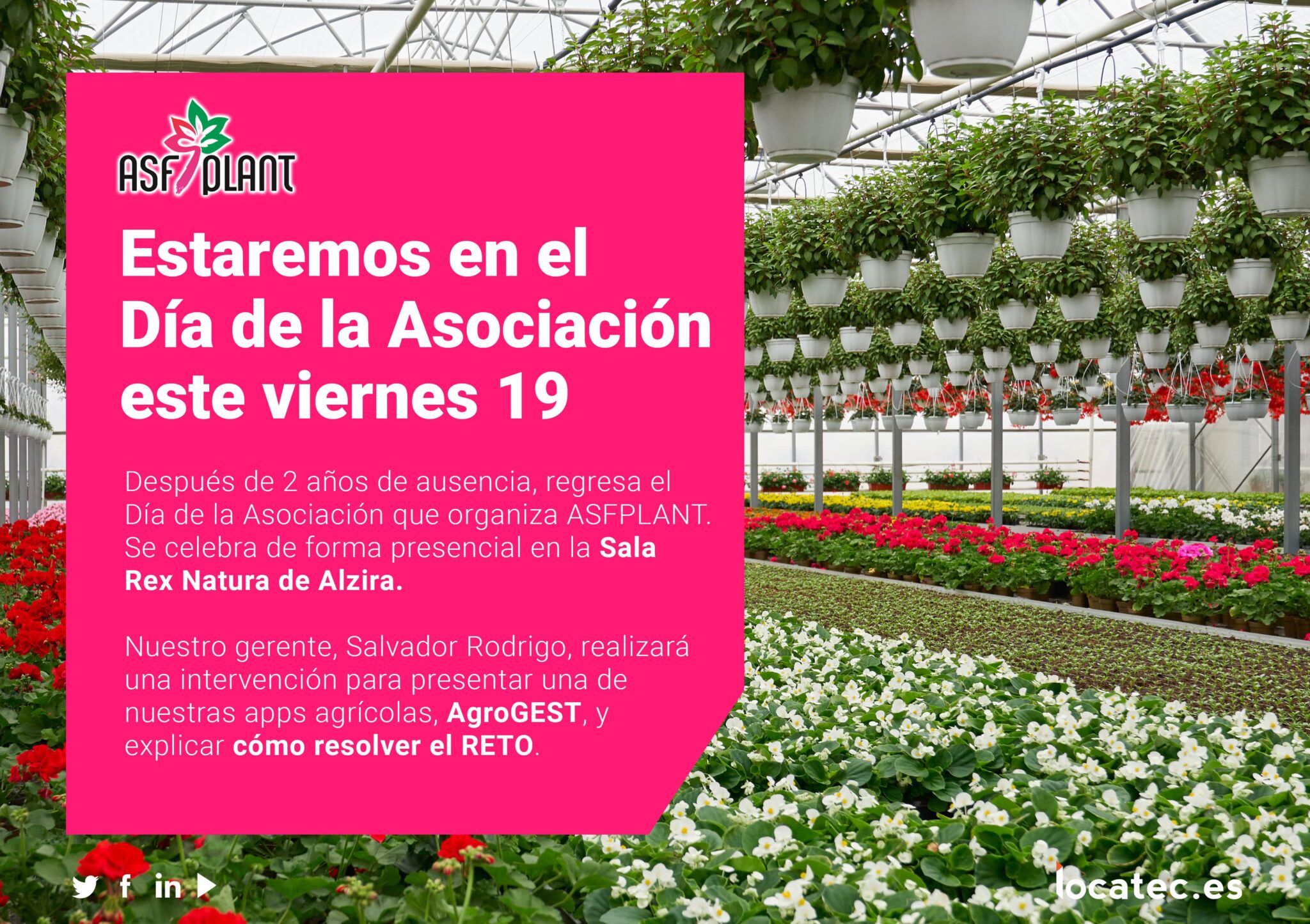 Locatec participa en el Día de la Asociación Locatec participa en el Día de la Asociación
